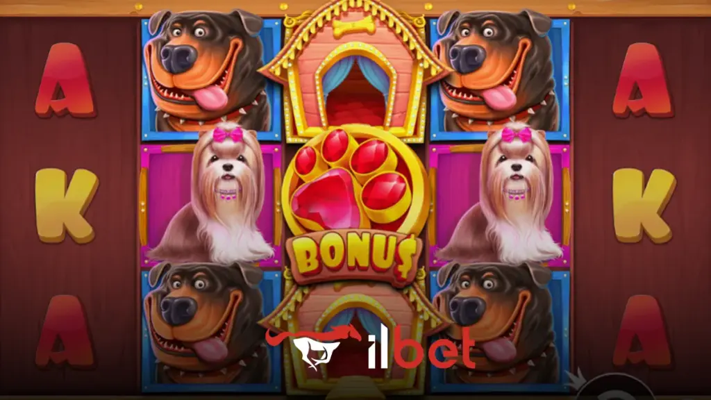 İlbet The Dog House