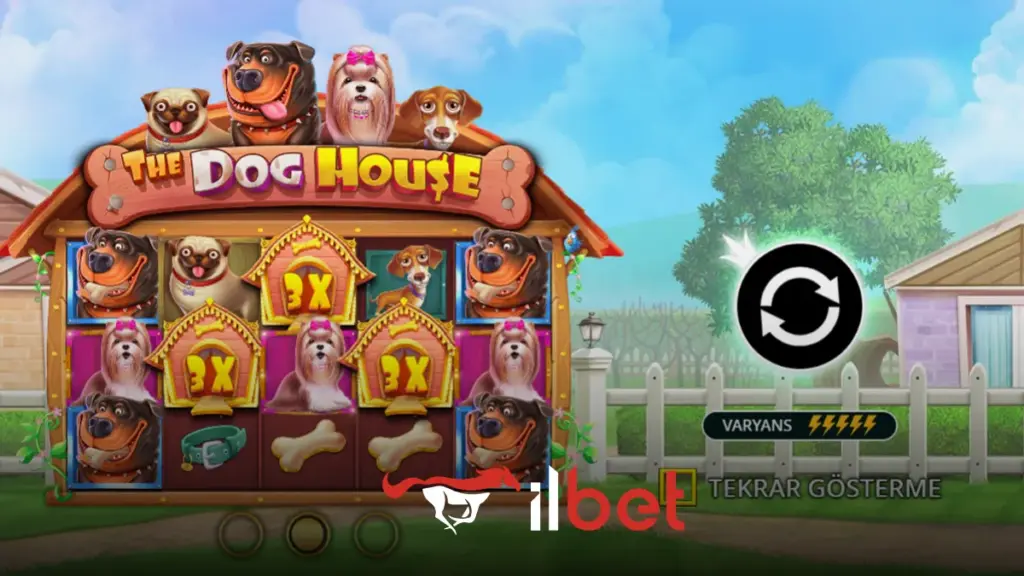 İlbet The Dog House