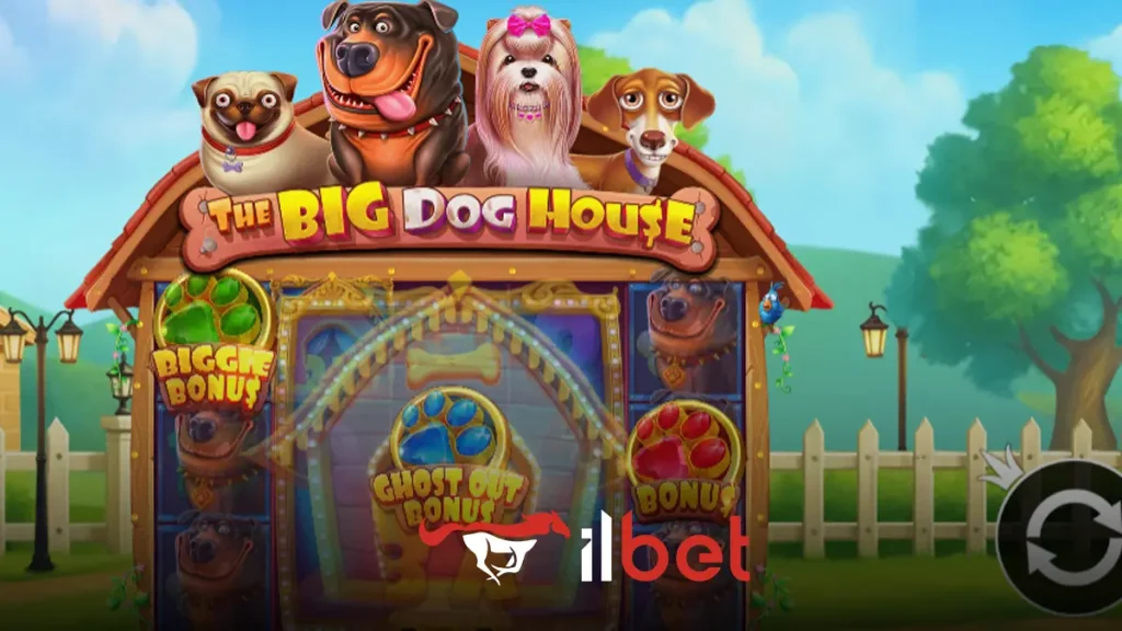 İlbet The Big Dog House slotu